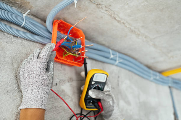 Best Electrical System Inspection  in Dortches, NC